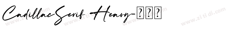 CadillacSerif Heavy字体转换